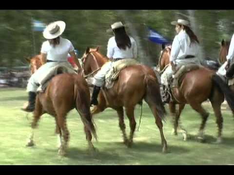 Caballos Peruanos Cabaña "Los Pedritos"