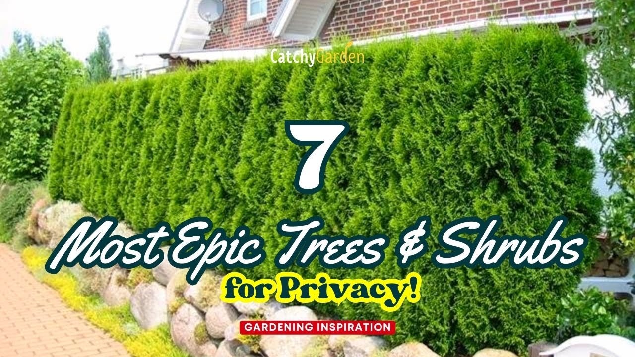 The 7 Most Epic Trees & Shrubs for Privacy! 🌲🏡🌿 // Gardening Ideas