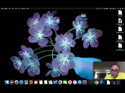Create Vision Model using CreateML