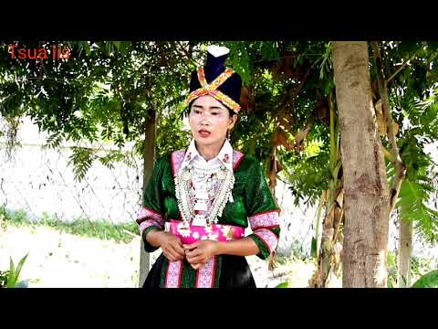 Ntxhi yaj kwv txhiaj