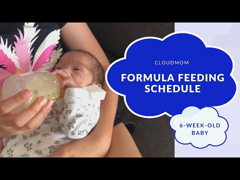 6 Week Old Baby: Formula Feeding Schedule | Subt. ENG/ FR/ ES/ ZHO_CN | CloudMom