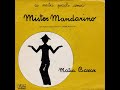 Mister Mandarino - Matia Bazar