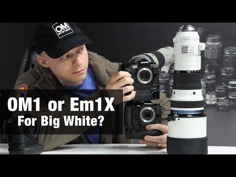 OM1 or Em1X with Big White