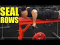 Exercise Index - Seal Rows