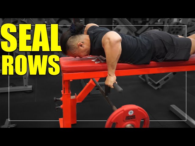 Seal Row video thumbnail