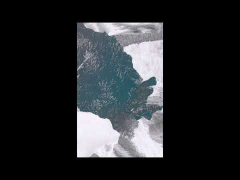 ANASISANA - Individuality Is Also A Fetish [2021 / Full Album]