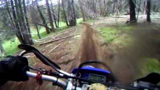Kennedy meadows fun flowy single track