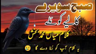 Download lagu Kalam saif ul malook 2021/Heart touching kalam/kalam mian muhammad bakhsh/kalam 2021 mp3