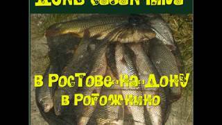 Ростовская область рыбалка в рогожкино