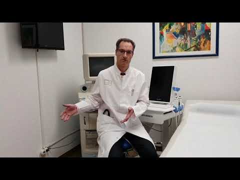 Wie funktioniert die Leber?