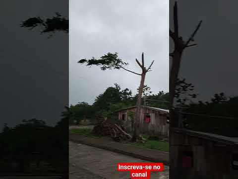 Temporal muito forte no Anamã Amazonas... #song # Amazonas #youtube.