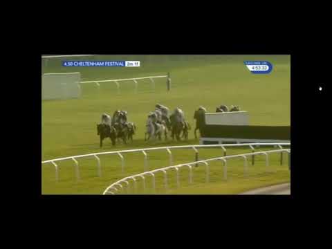 2016 Trull House Stud Mares' Novices' Hurdle - Cheltenham Festival