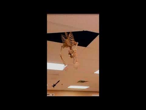 [FREE] Crazy Point x Yung Iverson x Kid Lucifer Trash Type Beat - Abueno | Prod.by Ghuz