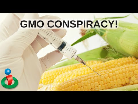 The Conspiracy that Keeps GMOs Mainstream Here The Conspiracy that Keeps GMOs Mainstream Here