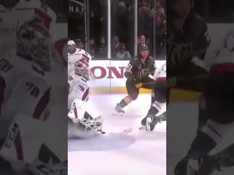 Did you get déjà vu? #hockey #goaliesaves #stanleycup