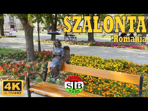 Salonta Romania 🇷🇴 2022 Summer walking in the center [20 min] 4k UHD