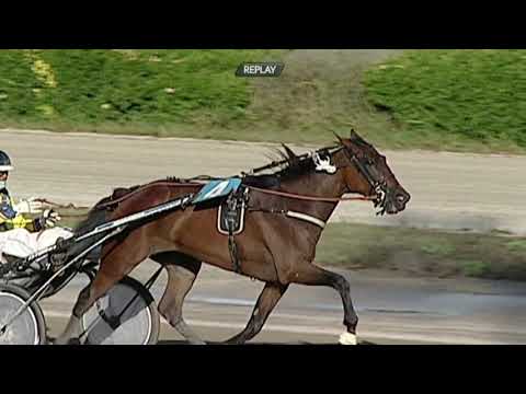 Aversa trotto 23 Settembre 2020 - 4° Corsa