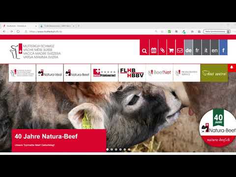Erklärvideo FLHB Stierenmarkt  / Vidéo d'explication HBBV marché des taureaux de races à viande