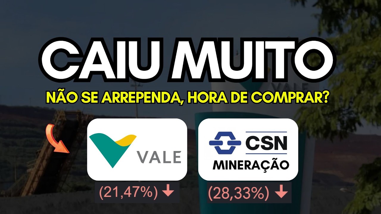Vale (vale3) e Csn Mineração (cmin3) Não se arrependa, Hora de Comprar pra Grandes Dividendos?
