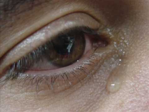 Totto e Kbça - Destino