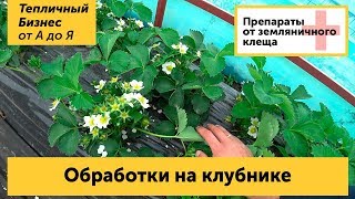 Чем опрыскивать клубнику весной от клеща