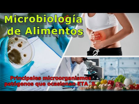Microbiología de los alimentos y principales microorganismos patógenos que ocasionan ETA´S.
