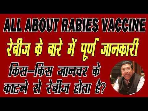 Rabies Vaccine How many Injections You Need? How Long it's Effect Lasts. Rabies in Hindi