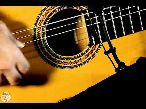 Promotional video thumbnail 1 for Aguilar Flamenco