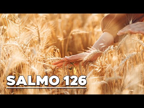 Salmo 126 - Jaime Ospino / Cover
