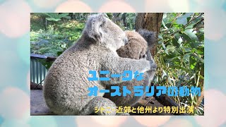 シドニー動物紀行『シドニー近郊と特別出演のオーストラリアの動物』