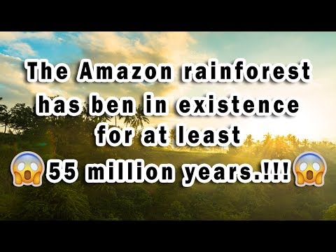 Facts About the AMAZON RAINFOREST You Didn't Know