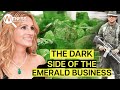Emeralds: Behind the Shadows of the Green Diamond Black Market | Witness | HD Crime Documentary