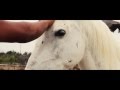 Ole Ask - Miss you love to pieces.