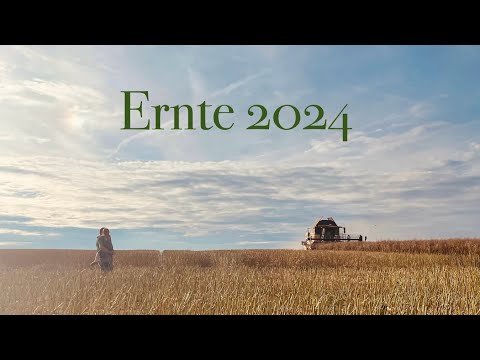 WSL#28 The harvest is really starting now! How many tons does the rapeseed yield?