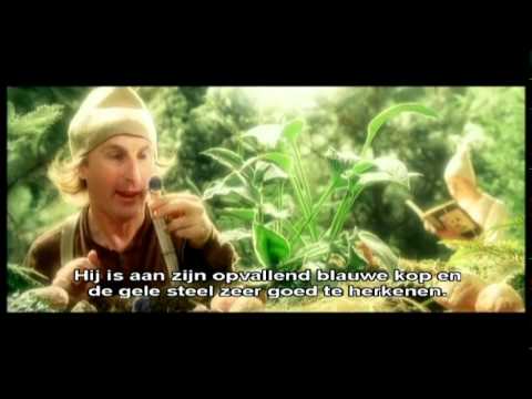 Die 7 Zwerge - Und wild pilzen xD whaha grappig