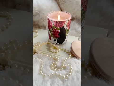 Moomin Candles 🍂 🕯️ #shorts #moomin