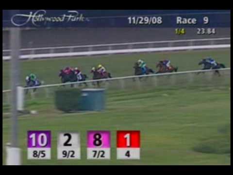 California Flag: Hollywood Turf Express G3 11/29/2008