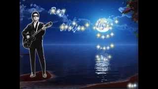 Roy Orbison - We'll Take The Night