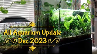Dec 2023 All Aquarium Update