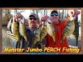 Monster JACK PERCH  Fishing on Lake ERIE