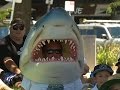 Activists Protest Australia Shark Control Policy 