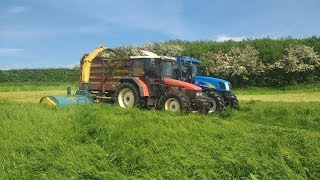 Silage 2017 | Kidd Double Chop