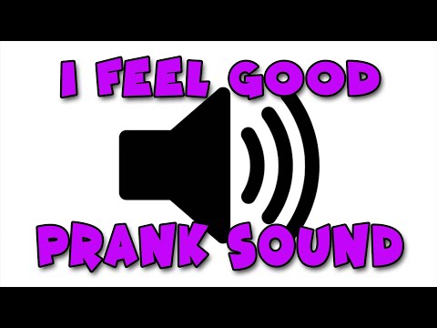 I Feel Good Prank Sound Effect