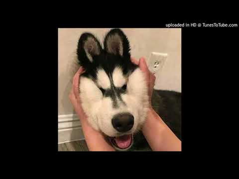 Karasu x Virtual Money x Kidmarble - Truman (2015)