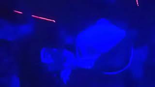 Download lagu Bandara 2001 mp3