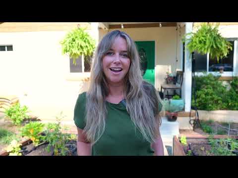 The Best Garden Design EVER!?!? Modular Planters!!