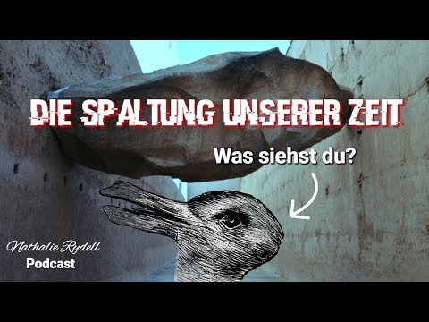 WARUM dein Gehirn zu TRIBALISMUS neigt | Die SPALTUNG der Gesellschaft
