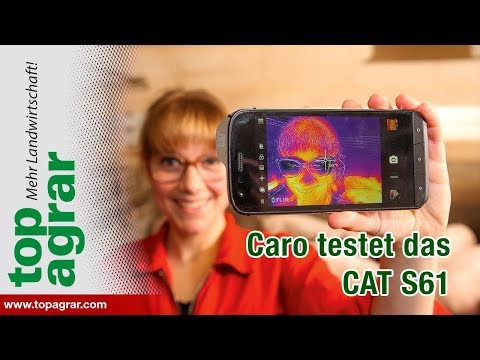 Caro testet das CAT S61-Smartphone im Schweinestall