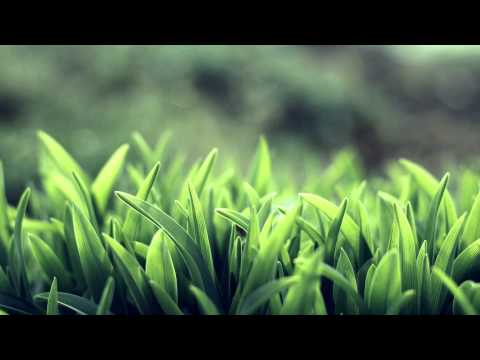 download lagu mp3 mp4 Super8 Tab Elektra Original Mix, download lagu Super8 Tab Elektra Original Mix gratis, unduh video klip Super8 Tab Elektra Original Mix