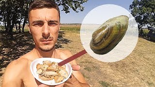 Речная мидия ловля